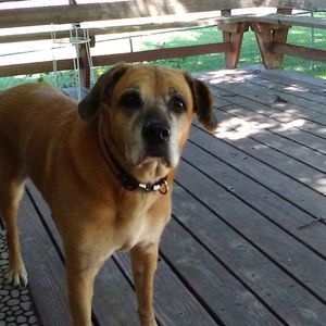 Meet your Posher, John